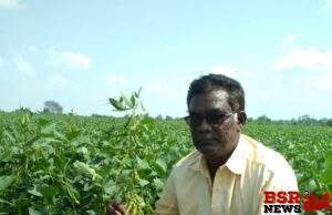 *सुरेश गरमडे यांच्या सोयाबीन वाण संशोधनावर राष्ट्रीय पातळीवरून शिक्कामोर्तब*
