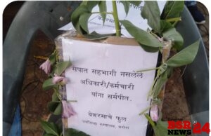 *जुनी पेन्शन योजनेसाठीच्या राज्यव्यापी संपात सहभागी नसलेल्या कर्मचाऱ्यांना बेशरमाचे फुल समर्पित*