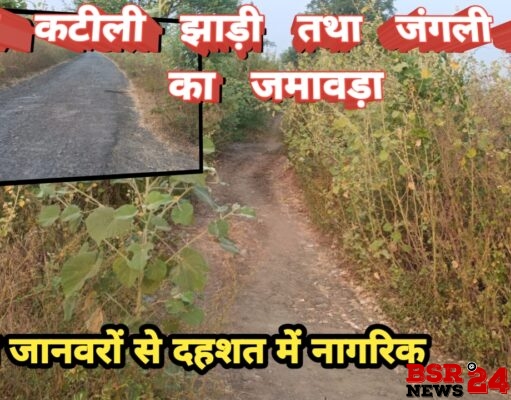 डर के साये में जीवन जीरहे माजरीवासी